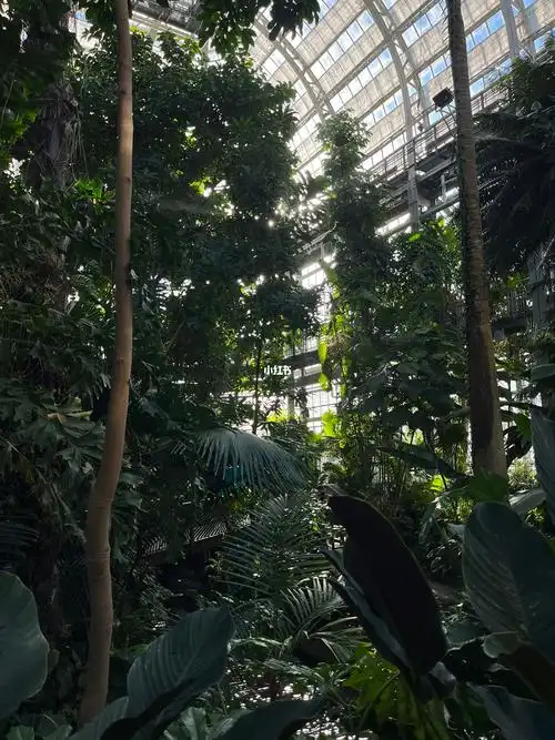 华盛顿|参观完相当于环游世界的国家植物园