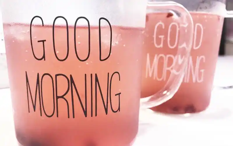 vlog1 #樱桃冰雪碧 | 猫猫为了猫粮居然逼迫主人做出这种事?