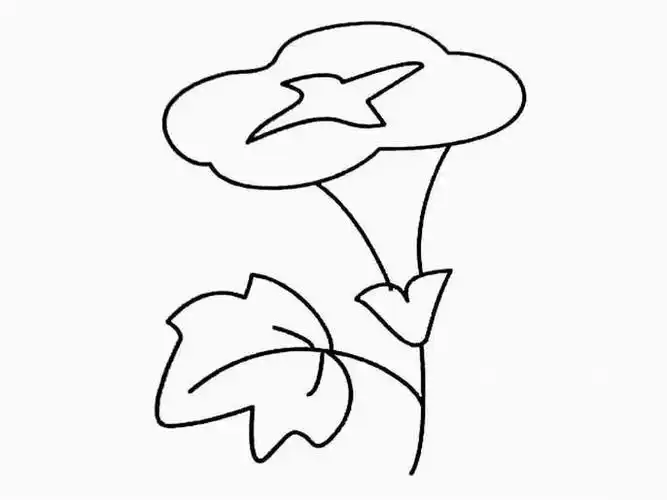 喇叭花牵牛花简笔画图片