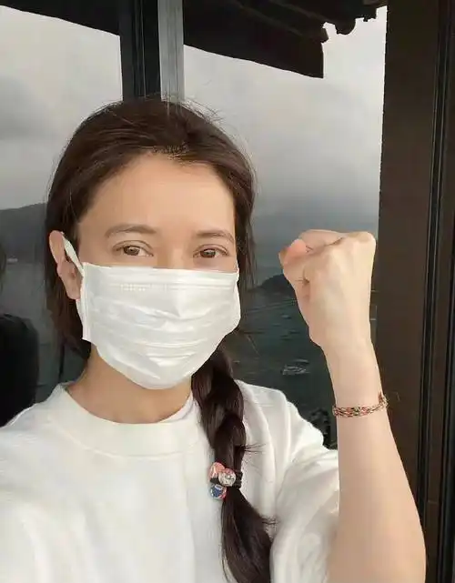 10位女星白发照,高圆圆头顶斑驳,有人已满头雪白_叶倩文_胡杏儿_网友