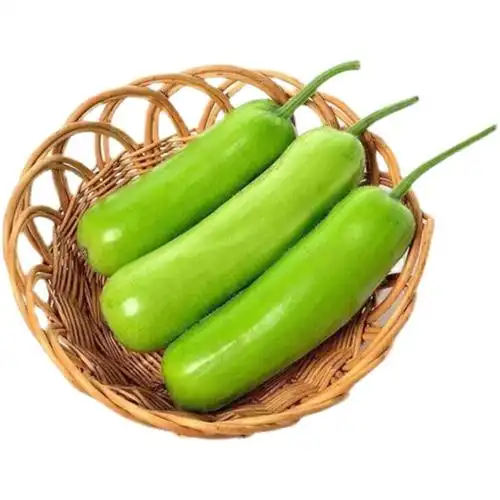 新鲜当季蔬菜嫩长瓢瓜农家现摘葫芦瓜夜开花其它