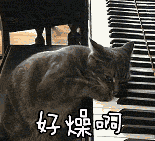 猫喵星人好燥啊gif动图_动态图_表情包下载_soogif