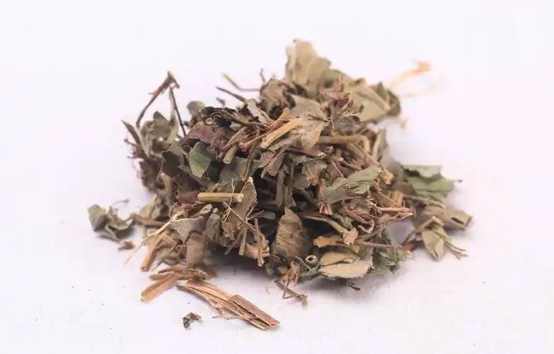 分享一味抗癌中药——金钱草,利水通淋效果佳!