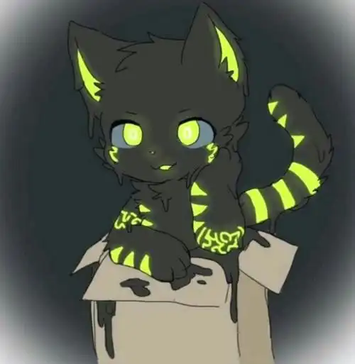 老逗比是韩我的qq头像awa老逗比是韩荧光猫荧光猫awa左下角有彩蛋