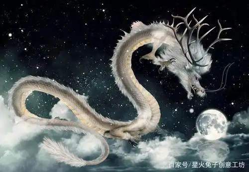 让我们来""解剖""一条龙