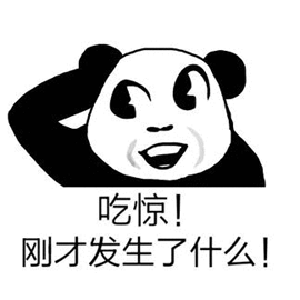 吃惊gif熊猫头gif发生了什么gif搞怪gif逗gif