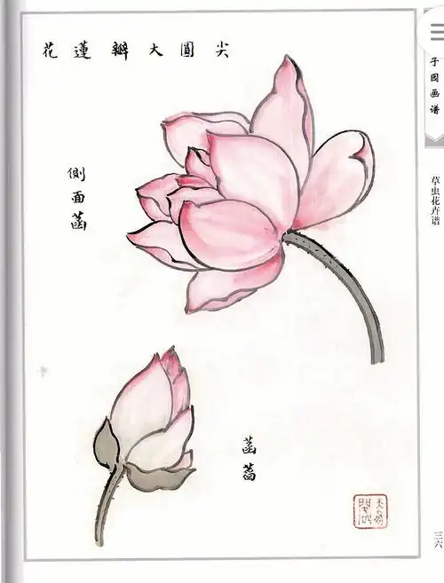 国画小写意零基础入门课