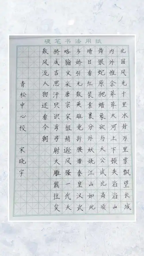 "笔墨润心,书写精彩"——【青松中心校】青年教师硬笔书法作品展示