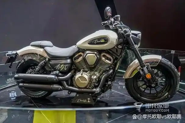 "巡航车才是中年男人的刚需,仿赛骑不动了,adv上车麻烦,踏板车又没有