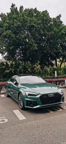 700_1519竖版 竖屏