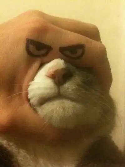 表情包坚定的眼神