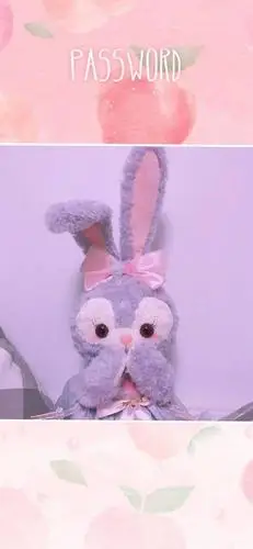 手机壁纸星黛露兔子