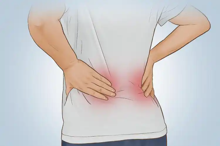 后腰双肾位置酸疼图片