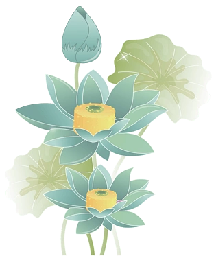 彩绘荷花图片大全