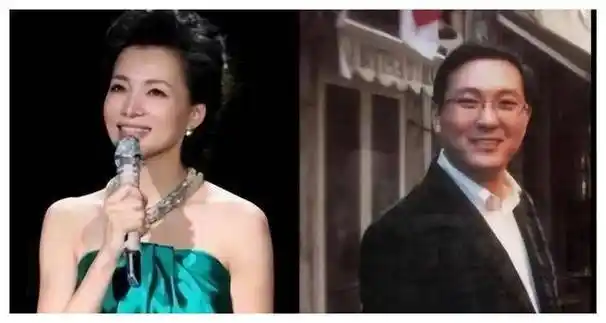 董卿憔悴带娃富豪老公欠债九亿被曝移民美国