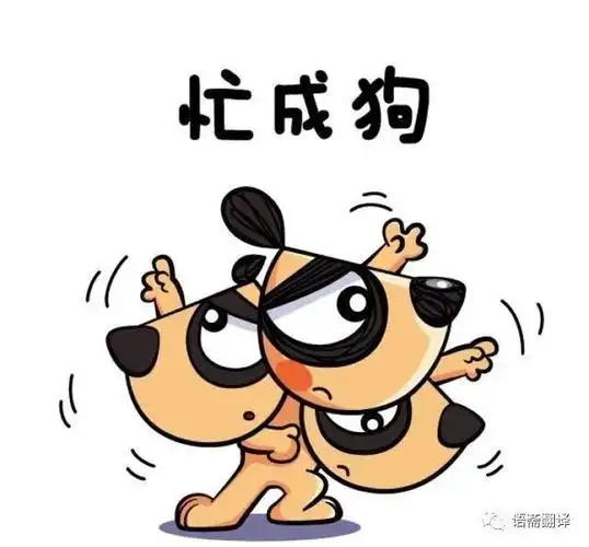 翻译】想要吐槽"我很忙"?别只会用"im very busy"