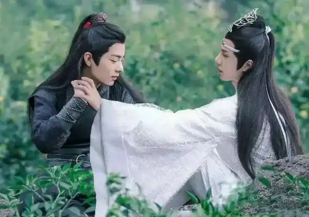 陈情令肖战王一博