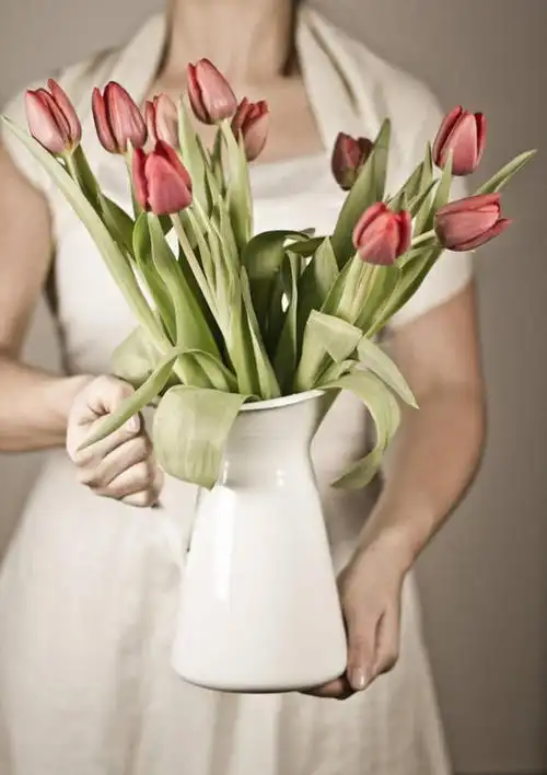 成年人,一个人,站,竖图,特写,郁金香,花瓶,德国,仅一个女性,拿着,花