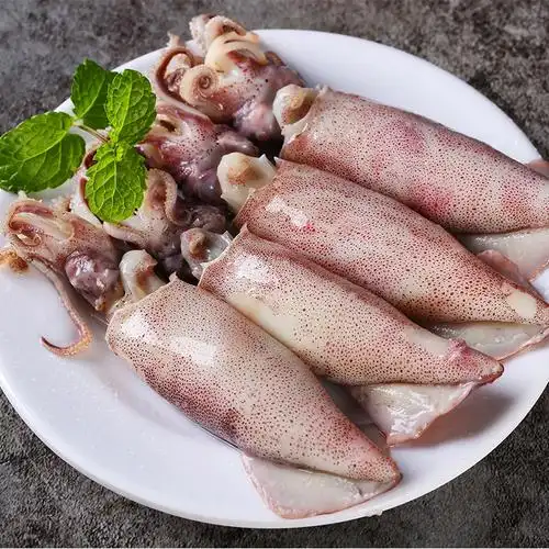 鲜活新鲜海兔子墨鱼鱿鱼冷冻海鲜水产乌贼满籽带冷冻墨鱼