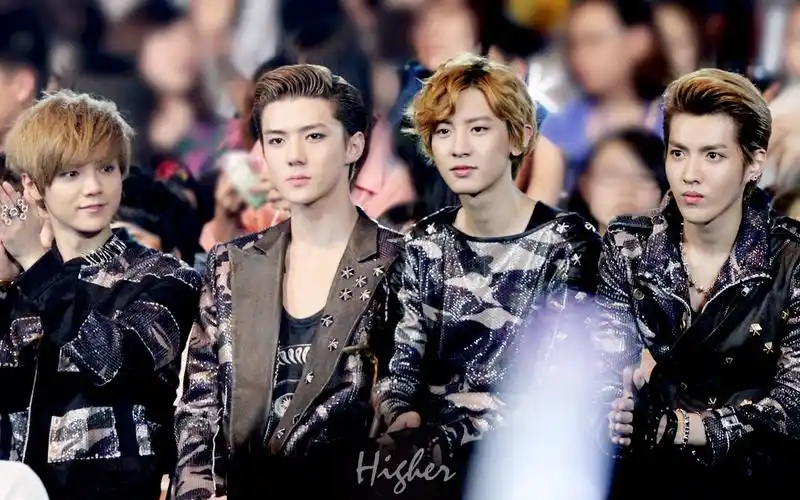 打包130119exo菲律宾fantasyconcert白贤crbaekpup10p