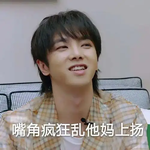 华晨宇-花花表情包