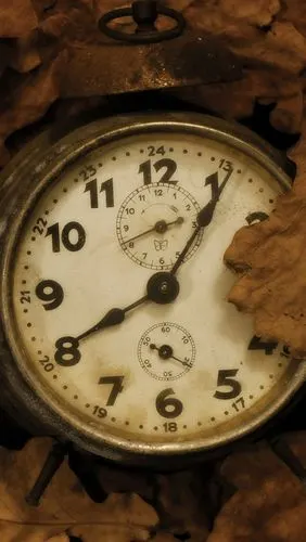 iphone 壁纸 老时钟,叶子