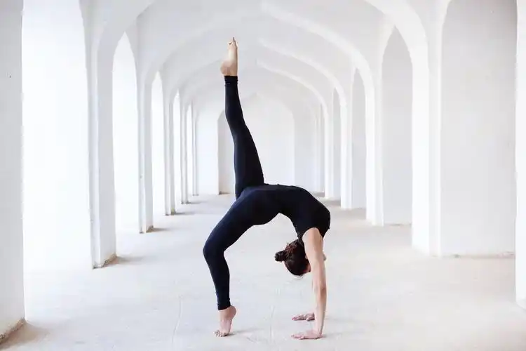 入门瑜伽小课堂瑜伽初学者必备知识第二篇