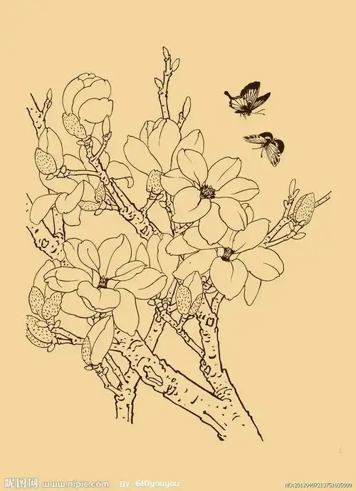 白描花鸟画
