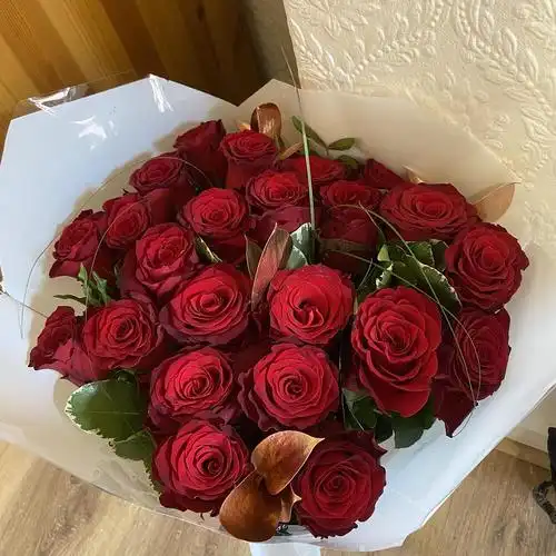 收到了玫瑰要怎么保养呀