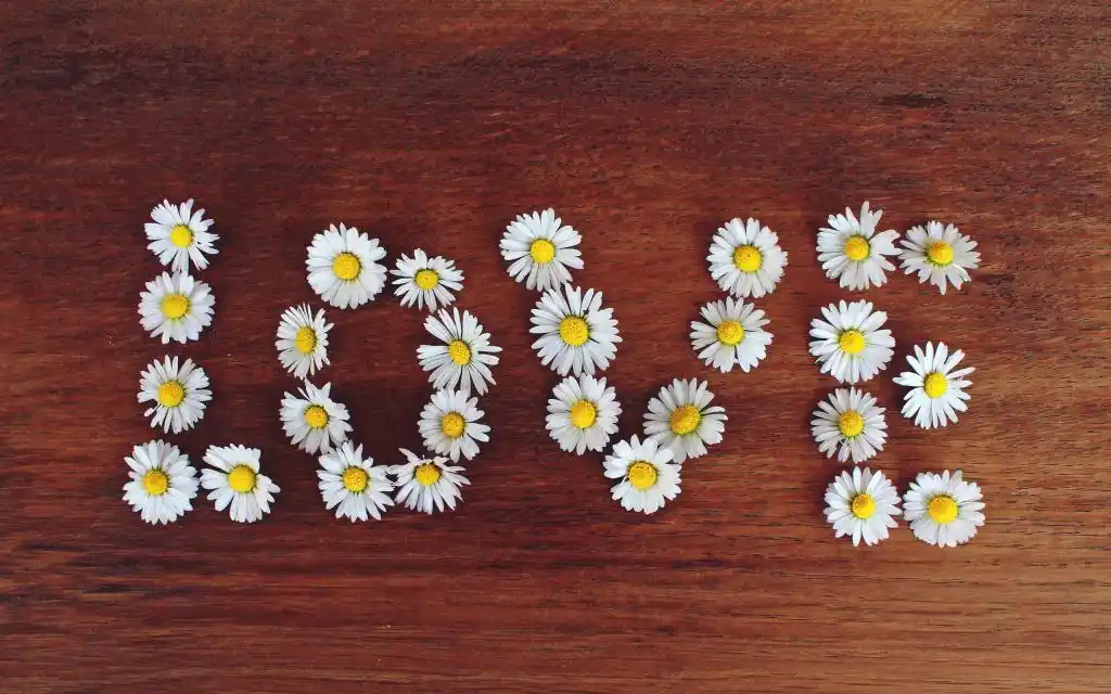 创意十足的英文字母,高清图片,艺术壁纸-回车桌面