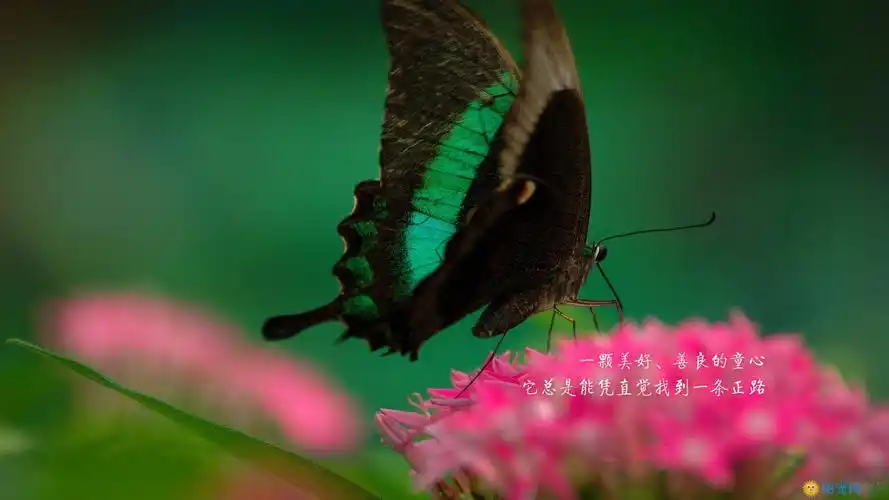 高三的骂醒自己的励志图片