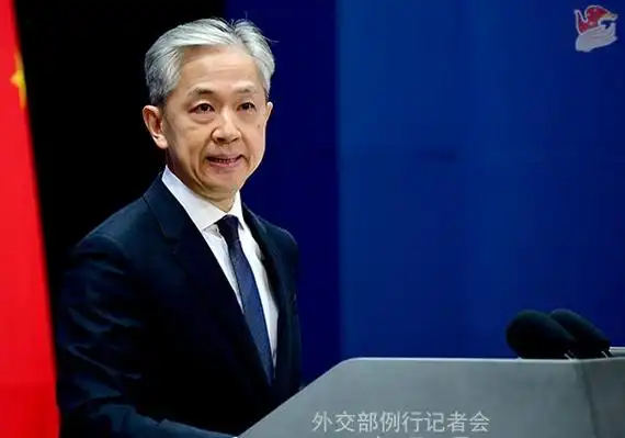 汪文斌 资料图 图源:外交部网站