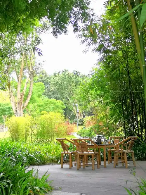 竹林下喝茶的美景