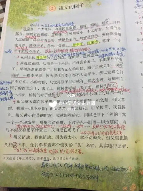 五年级语文下册祖父的园子课堂笔记