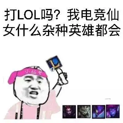 打lol吗?我电竞仙女什么杂种英雄都会表情包 - 日常表情包