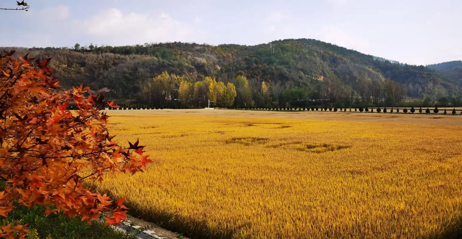 南泥湾陕北好江南秋景如画