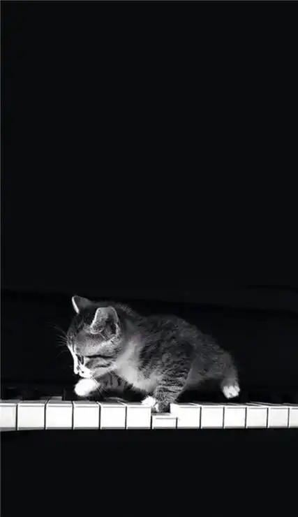 微信聊天背景图个性黑白我们都是熬不过世俗的普通人