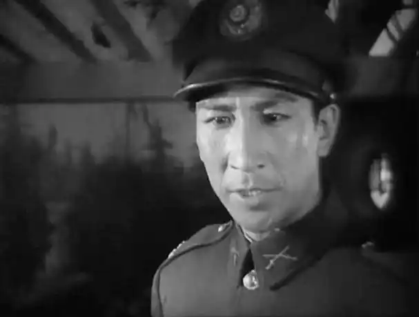 兵临城下武将表,兵临城下主人公(老电影《兵临城下》)