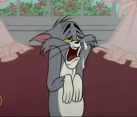 这是什么版本的猫和老鼠里的汤姆猫