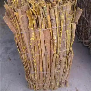 首页 树皮类 刮皮黄柏 收藏商品