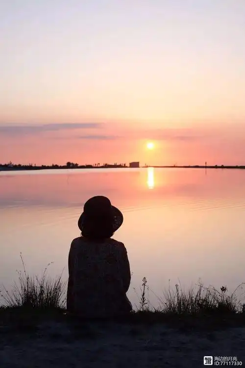 有人相爱,有人在夜里独自看海