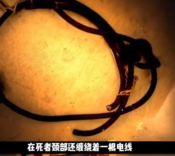 铁皮箱内孕妇死后分娩一尸两命抛尸案凶手逍遥法外十二年