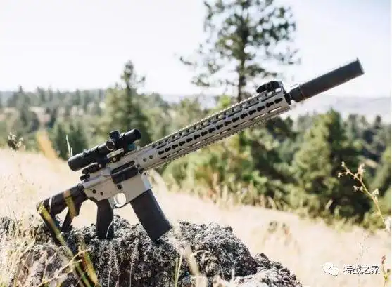 怎样自己组装一把ar15突击步枪