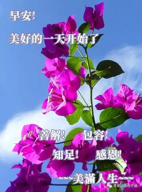 带文字的早安问候图片,早安图片带字 问候语-图片大观-奇异网