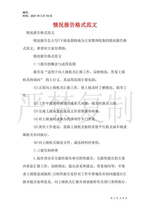 情况报告格式范文