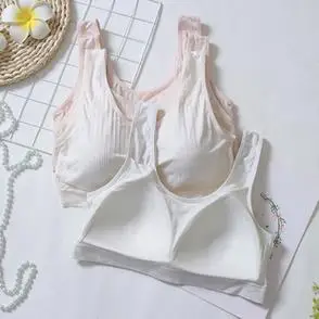 大码固定胸垫纯色初高中生学生内衣文胸抹胸小背心立黛美1072