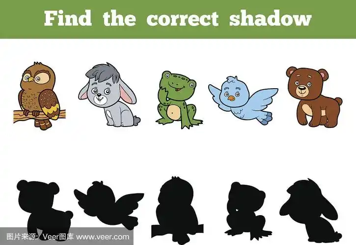 为孩子找到合适的影子.动物集合
