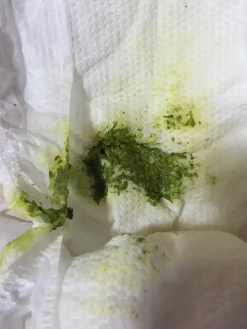 新生儿绿色便便!母乳喂养!今天刚好满月人来的也比较多!