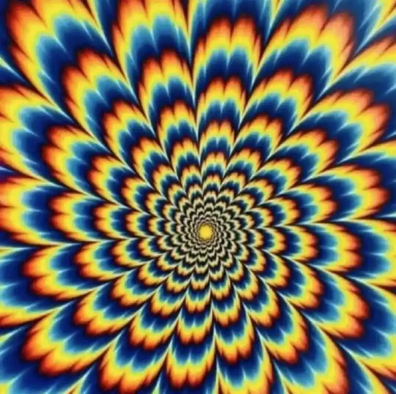 盘点会动的图片