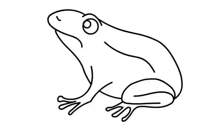 青蛙简笔画